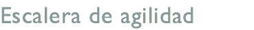 Escalera de agilidad